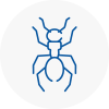 Ant Removals In Dudley