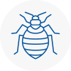 Bed Bug Extermination In Dudley