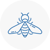 Bee Nest Removal Dudley