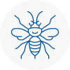 Dudley Hornet Nest Removals
