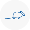 Mice Exterminators In Dudley