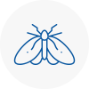 Moth Control Specialists In Dudley