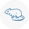 Rat Control Dudley