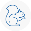 Dudley Rodent Removals