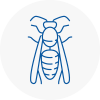 Dudley Wasp Nest Removal